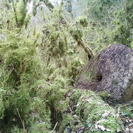 Gite De Charme Auvergne Cab'âne Brousse Exterior foto