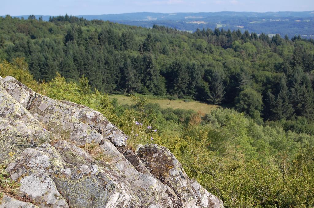 Gite De Charme Auvergne Cab'âne Brousse Exterior foto